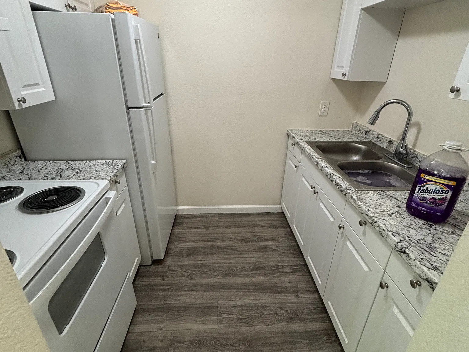 1 bed, 450 sqft, $950 — Photo 3