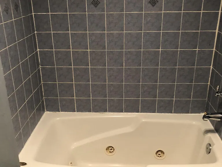 lower level bathroom