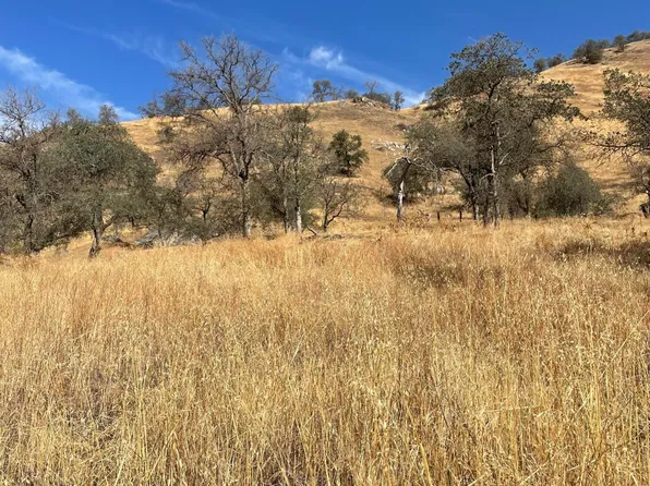 42208 Corral Drive, Three Rivers, CA 93271