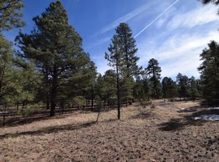 2902 Mud Creek Rd, Overgaard, AZ 85933