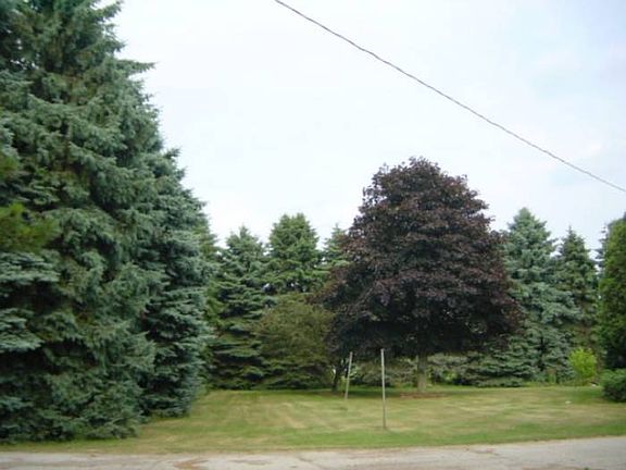 Wooded and Private