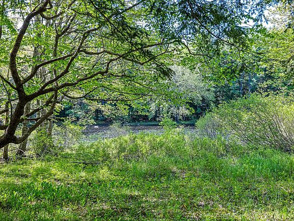 2nd image of 2259 Medway River Rd