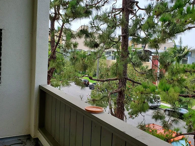 13240 Fiji Way #D — Photo 26