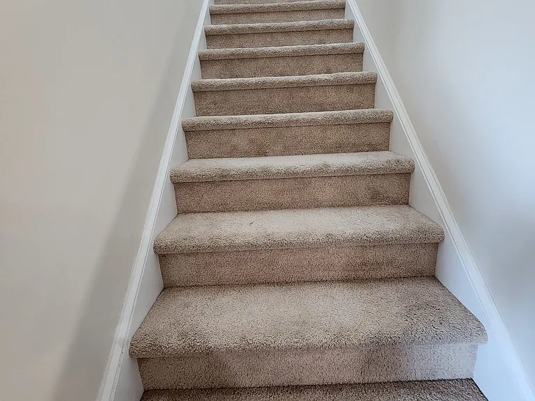 504 Twelve Oaks Ln — Photo 9