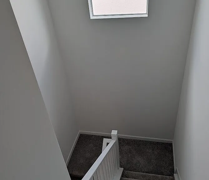 4315 Sylvester Palm Dr — Photo 25
