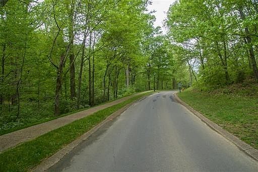 4th image of 20 Annandale
