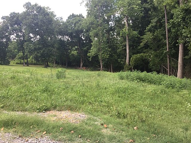 2nd image of 299 James Rd