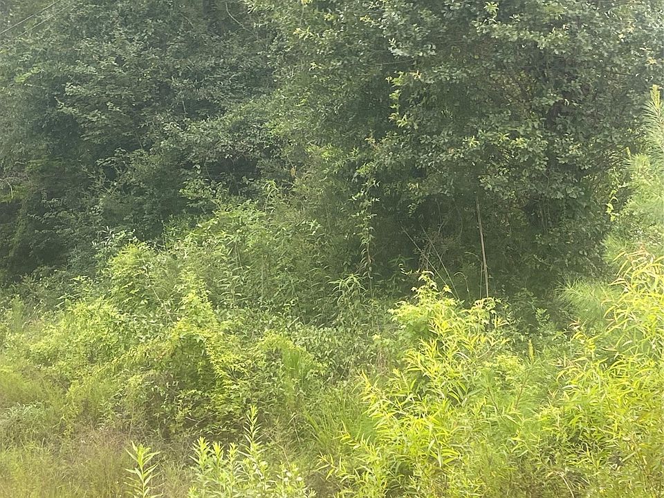 1st image of 0 W Forest Rd Lot 24