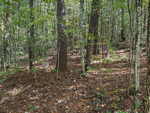 5th image of Bear Hollow Rd