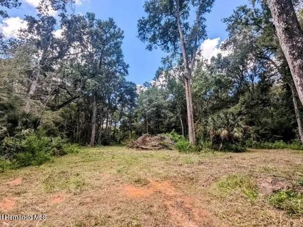0 Budowski Rd, Brooksville, FL 34614