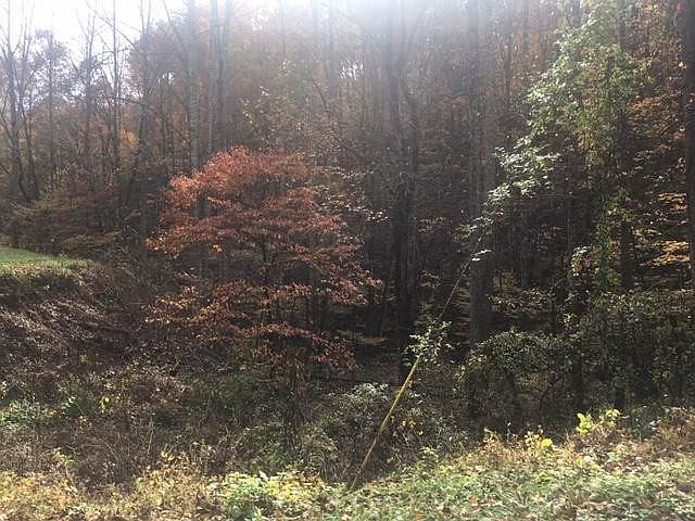 1st image of LOT 22 Beechwood Ln