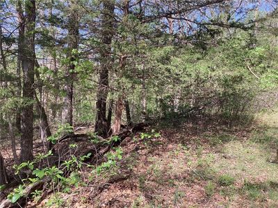 Buckeye Rd #658, Rogers, AR, 72756