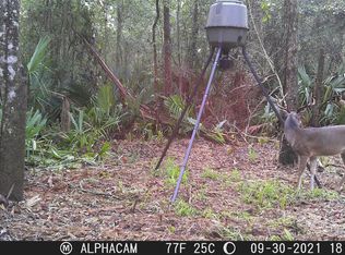 1 Palmetta Dr, Montgomery, TX 77354