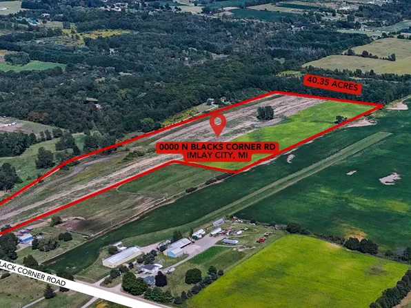 0 N Blacks Corner Road Corners Island South Of Ter #2260, Imlay City, MI 48444