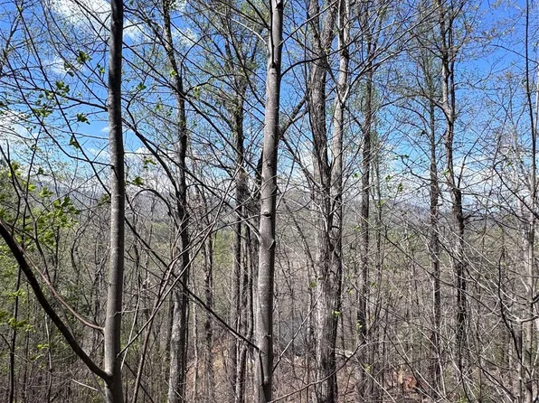 0 High Pines Loop #158, Lake Lure, NC 28746