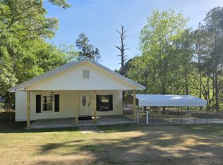 173 W Mount Carmel Ave, Coffee Springs, AL 36318