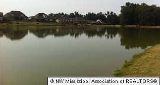 3rd image of 1239 Cross Creek Dr
