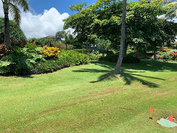 3rd image of Lau Nahele St Lot 22