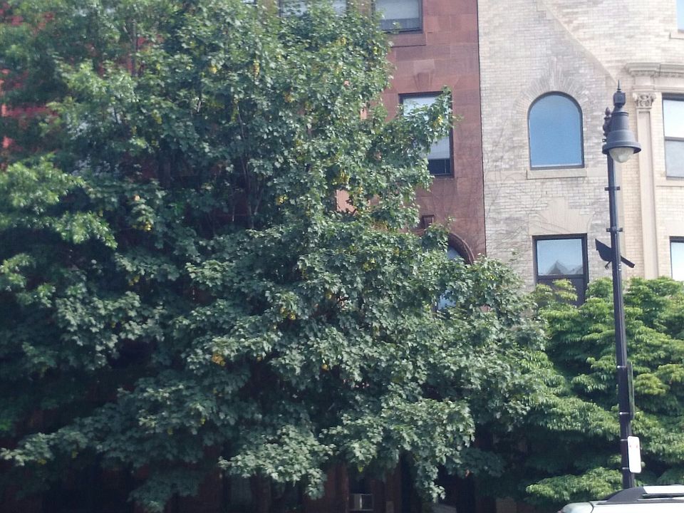 2nd image of 875 Beacon St APT B