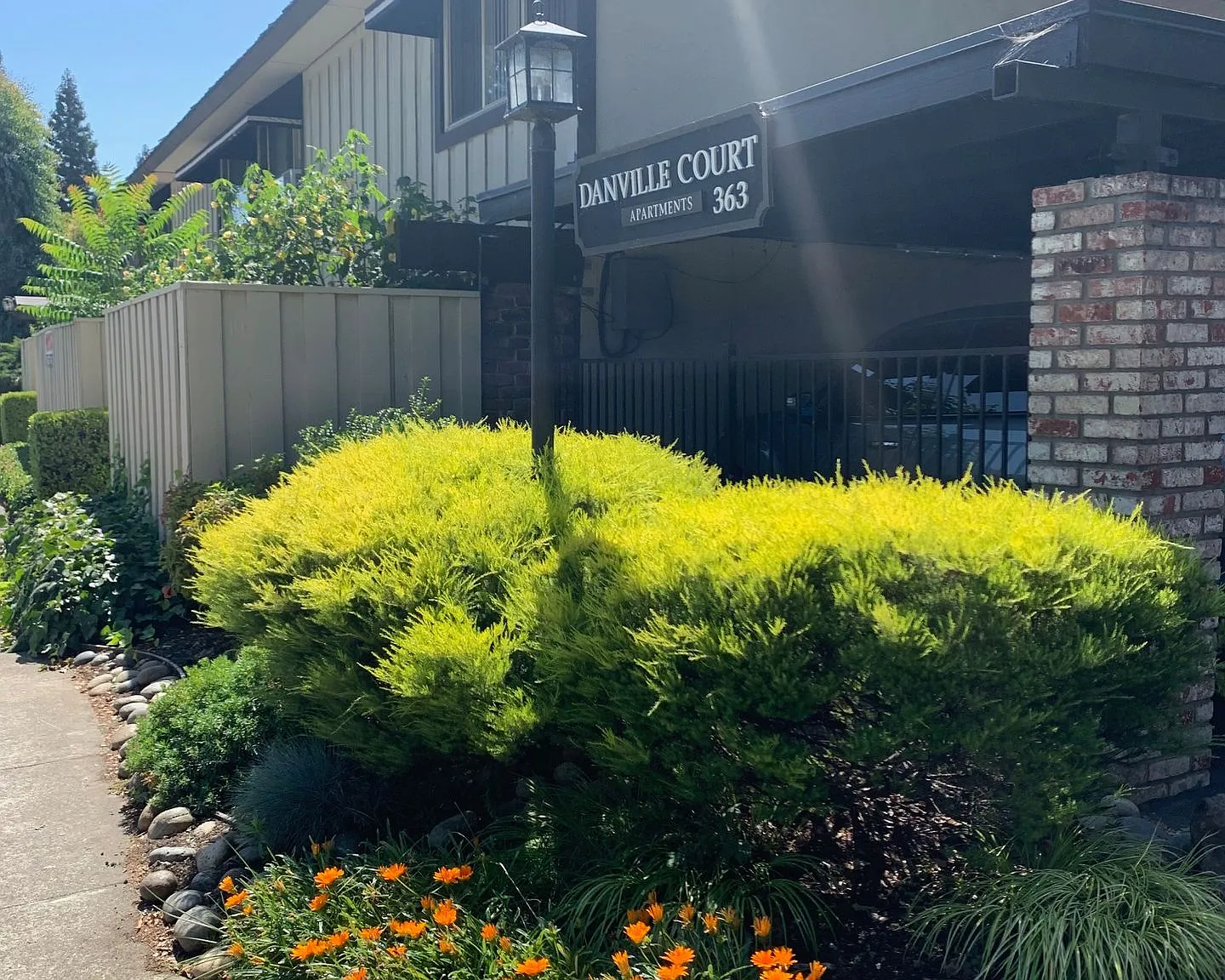 Danville Court Apartments — Photo 4