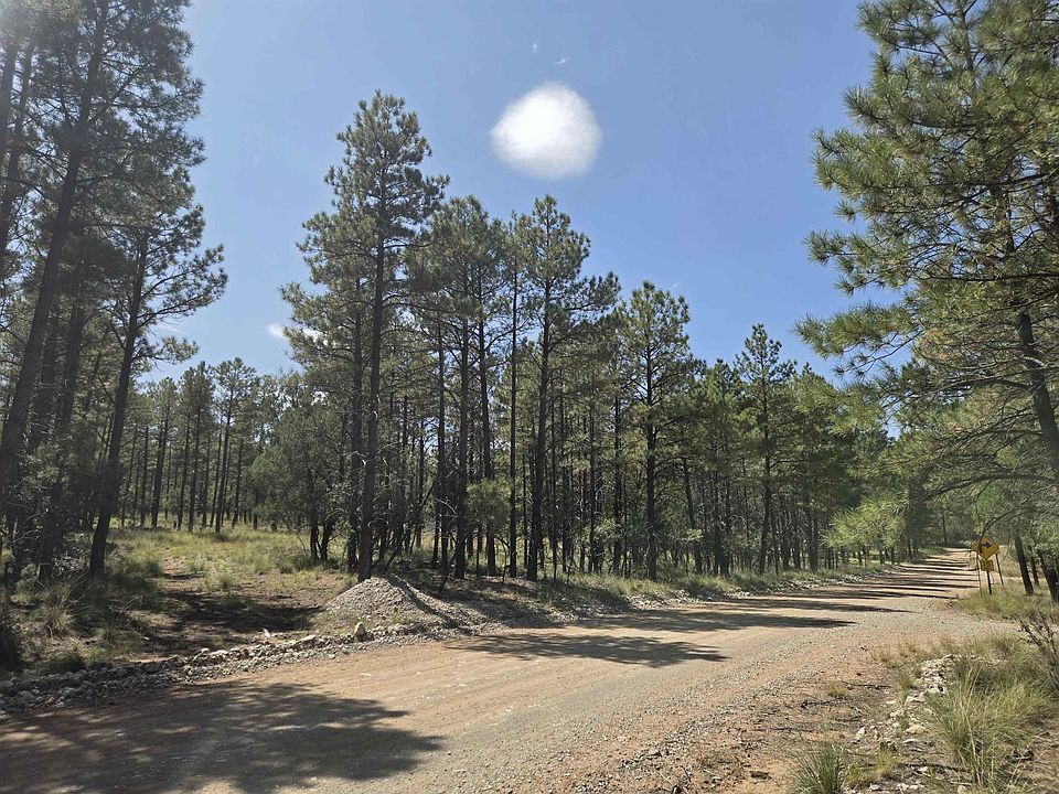 1st image of Tonto Dr