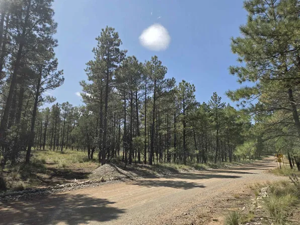 Tonto Dr, Timberon, NM 88350