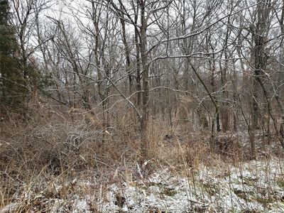 219 Bluestem Ln, Hawk Point, MO, 63349