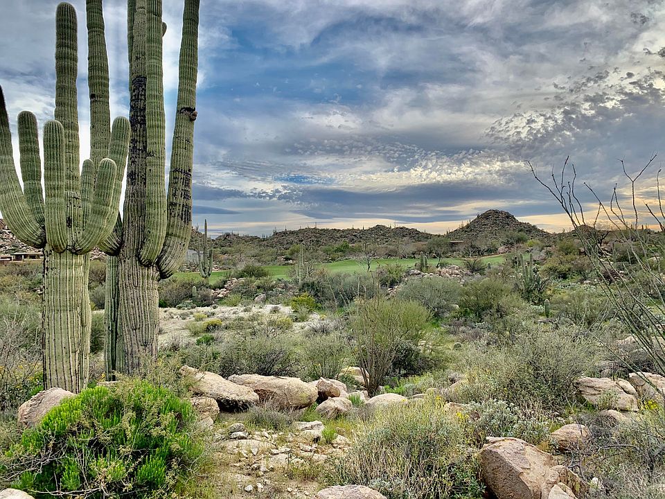 1st image of 1452 W Tortolita Mountain Cir #299