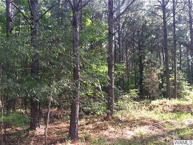 2nd image of 12237 Holt Peterson Rd