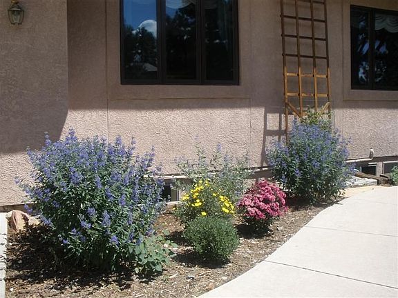 Professionally landscaped