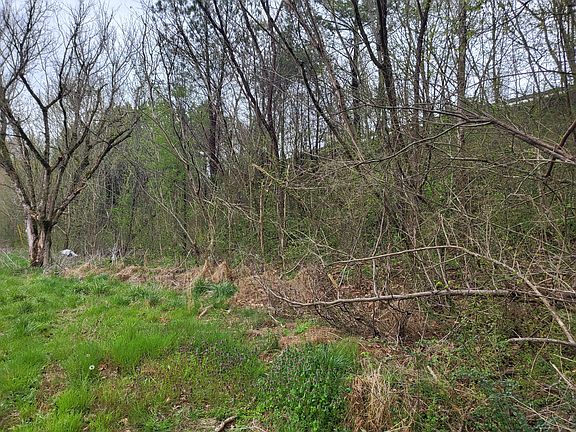 2nd image of 0 Medlin Pike