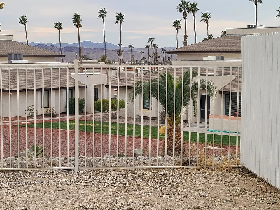 View From Back Yard