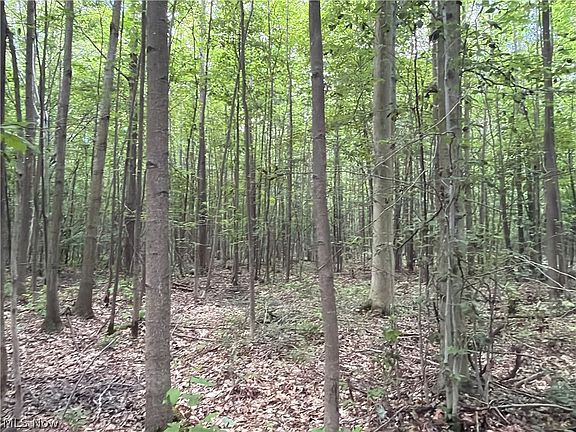 4th image of Crosby Cook Rd