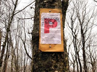 402 Fox Mountain Rd #&-M403, Wilmington, VT 05363