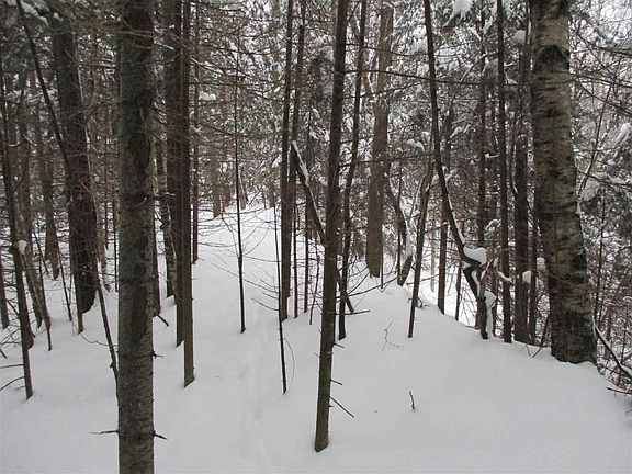 5th image of +/-57.93 Acres Fawn Ave