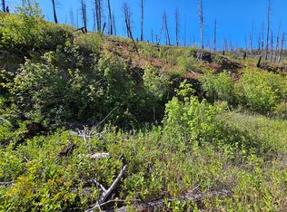 80 Upper Packer Gulch Rd, Drummond, MT 59832
