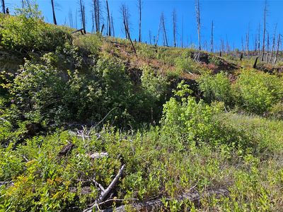 80 Upper Packer Gulch Rd, Drummond, MT, 59832