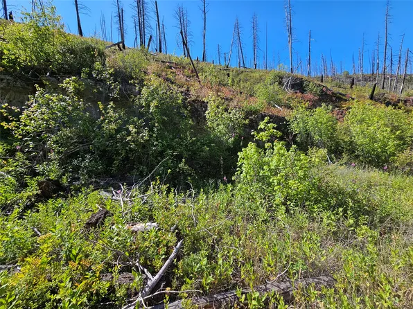 80 Upper Packer Gulch Rd, Drummond, MT 59832