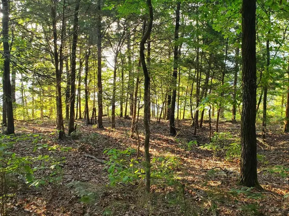 (undisclosed Address), Fairfield Bay, AR 72088