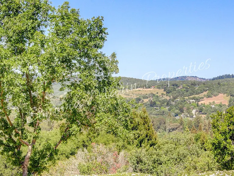 4626 Bennett View Dr — Photo 48