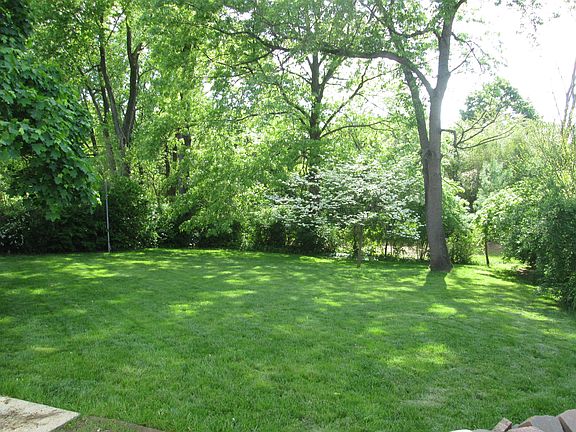 Backyard in summer