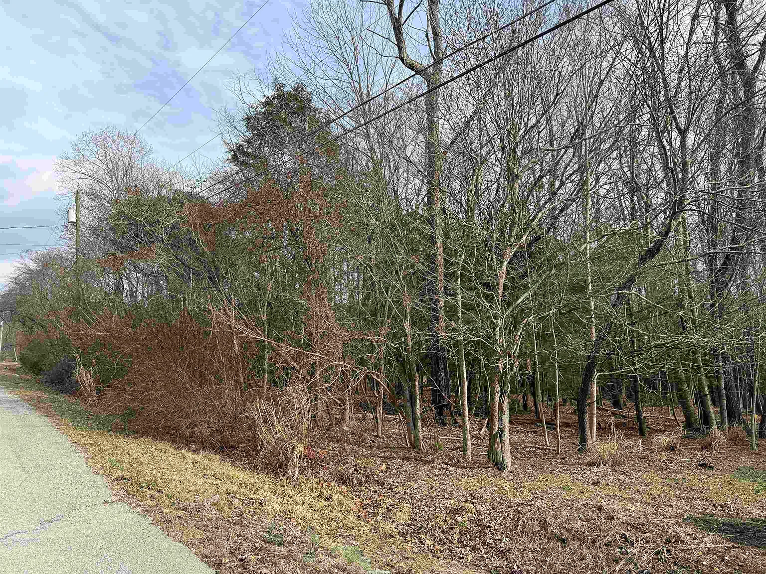 Country Acres Rd photo 1