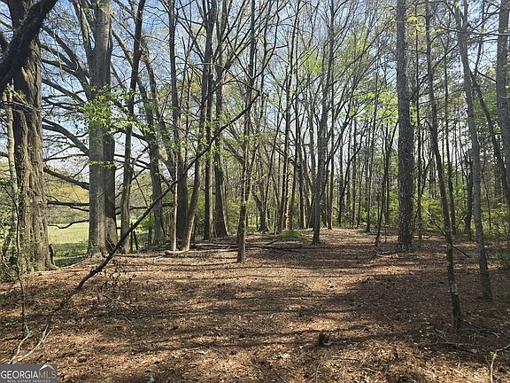 3rd image of 1496 Hardigree Rd