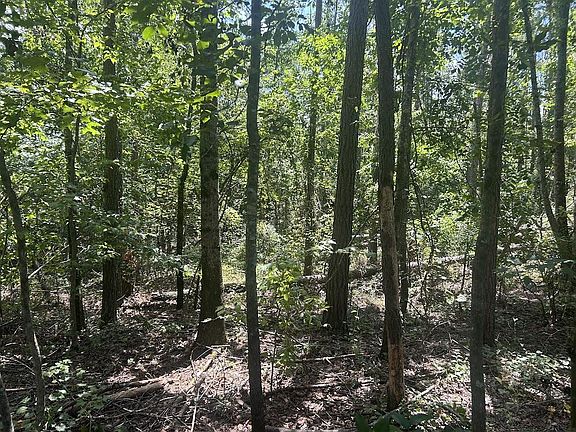5th image of 111 Riversong Rd #55