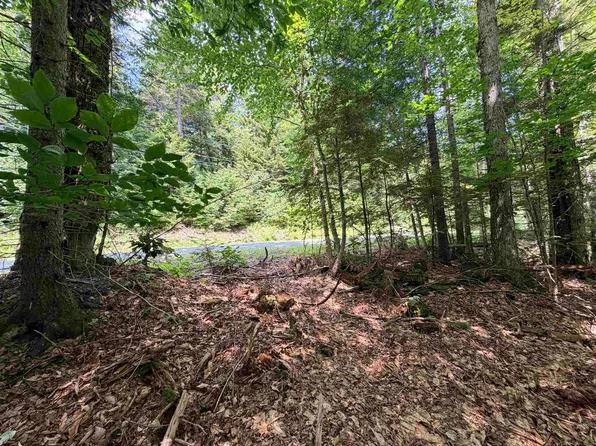 56 & 57 Boardman Loop, Wardsboro, VT 05355