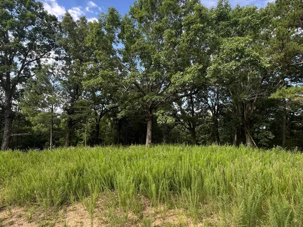 915 Clay 406 Rd, Lafe, AR 72436