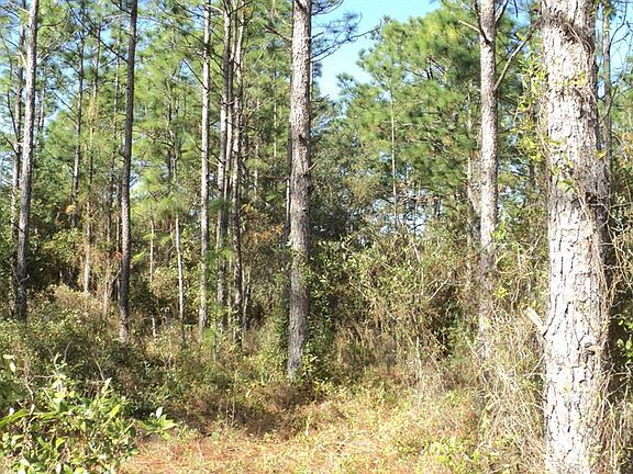 5th image of 0 Marion Oaks Trl #39