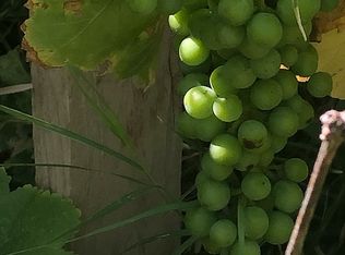 9614 Lewis Ave, California City, CA 93505