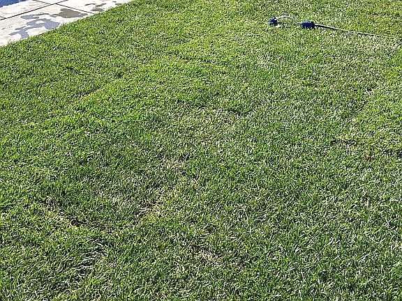 4th image of 19022 Orange Ave