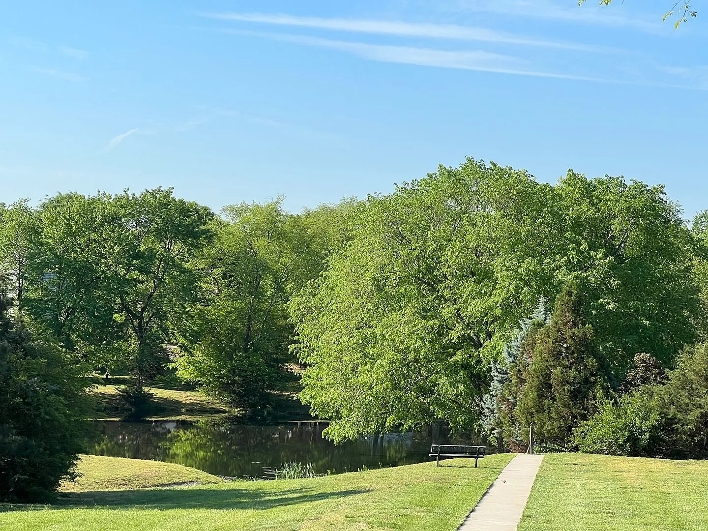 11416 Haltonshire Way — Photo 4